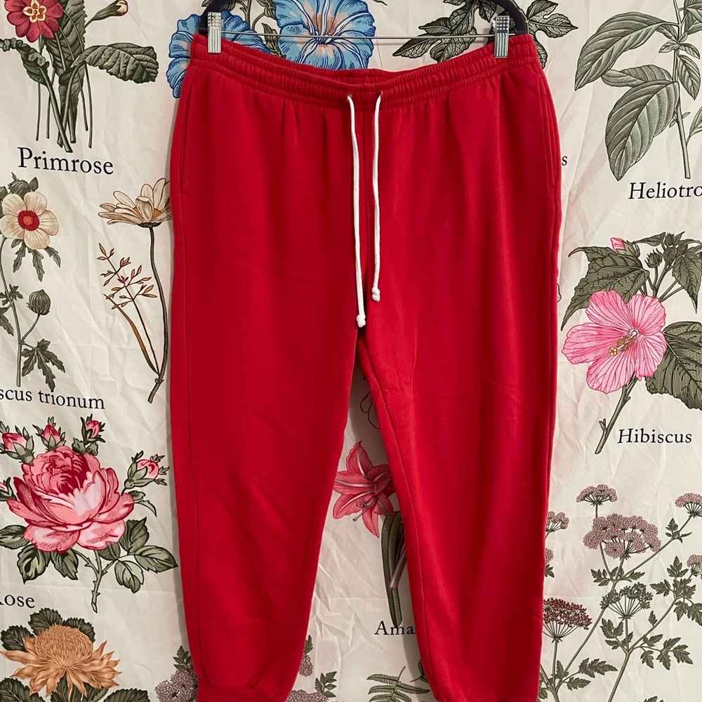 Wild Fable Red Sweatpants
